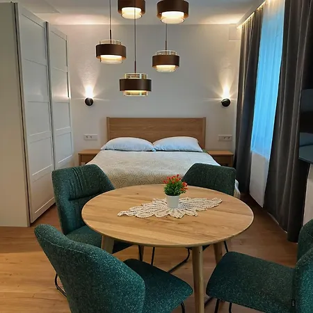 Neu Renoviertes Im Zentrum Appartamento Graz